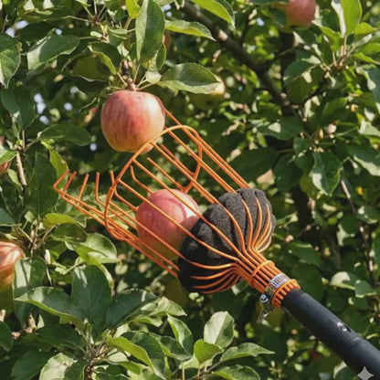 Fruit Picker Pro - HexaLock